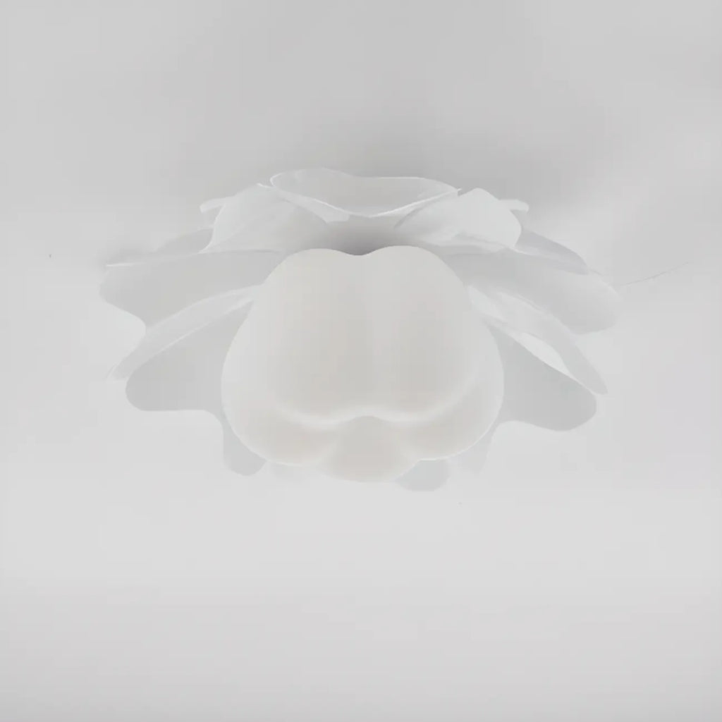 Modern Minimalist Acrylic Flush Ceiling Light for Indoor Space