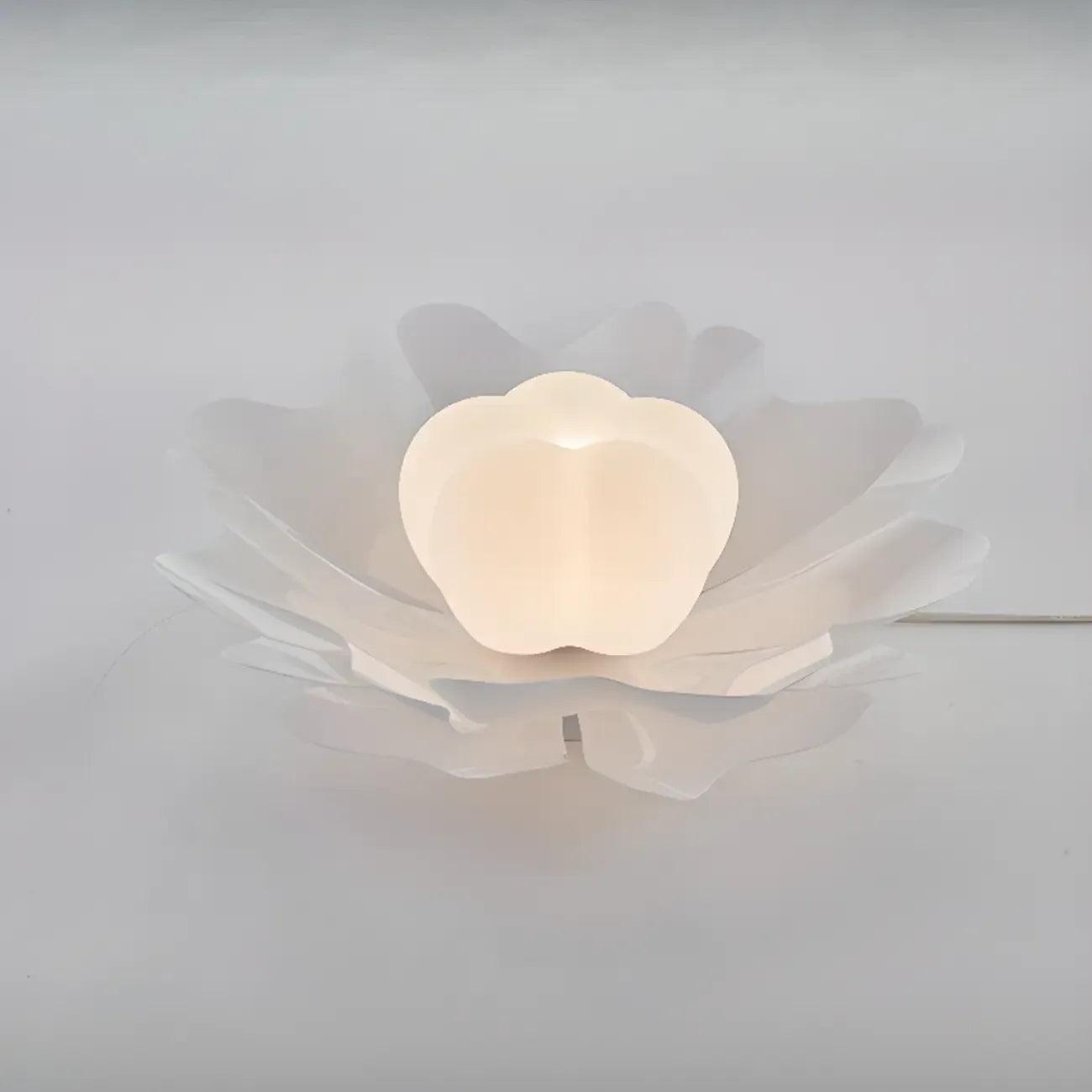Modern Minimalist Acrylic Flush Ceiling Light for Indoor Space