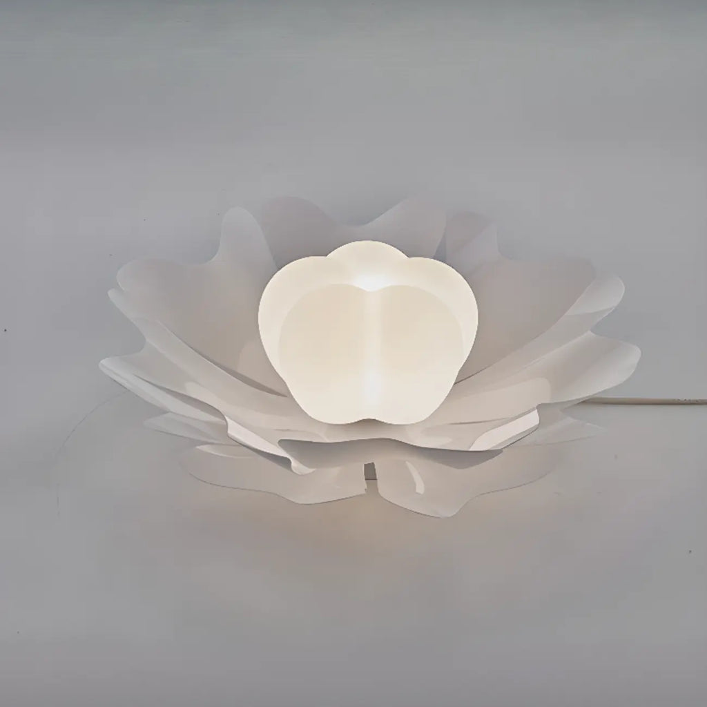 Modern Minimalist Acrylic Flush Ceiling Light for Indoor Space