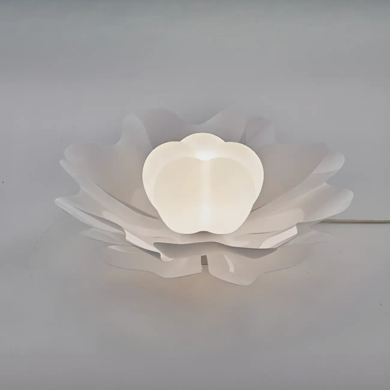 Modern Minimalist Acrylic Flush Ceiling Light for Indoor Space