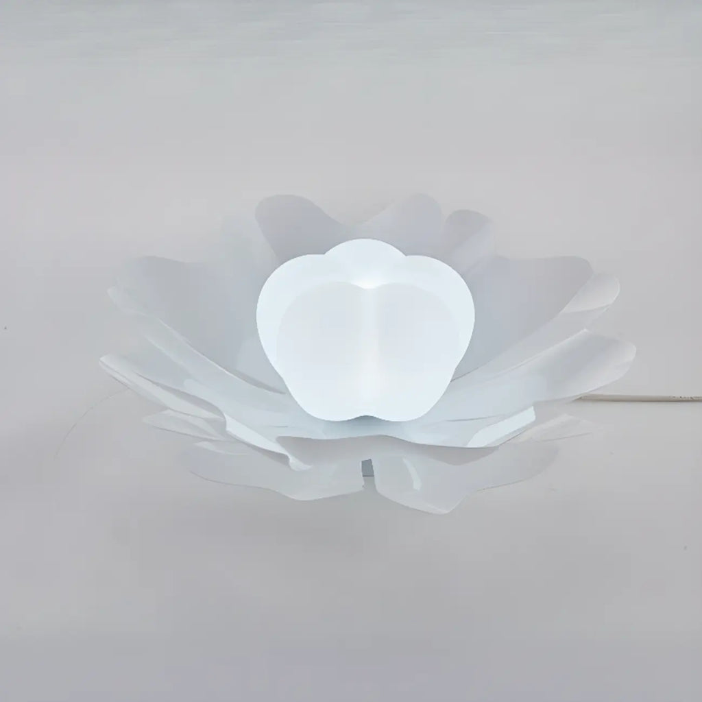 Modern Minimalist Acrylic Flush Ceiling Light for Indoor Space