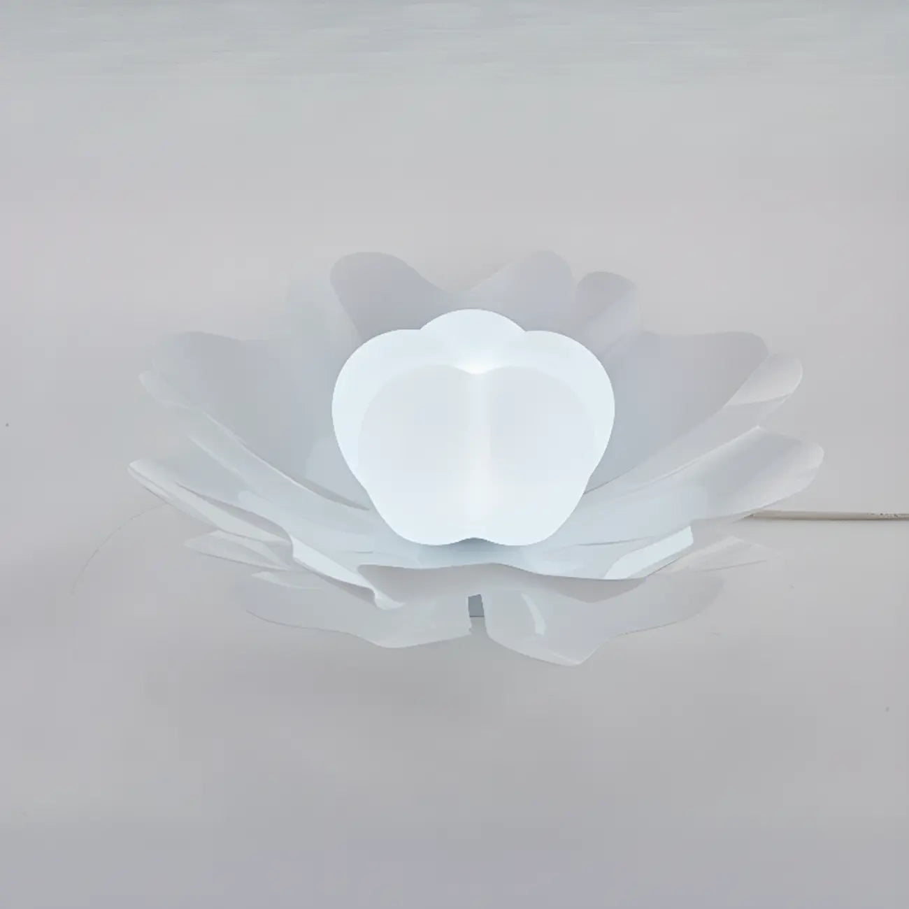 Modern Minimalist Acrylic Flush Ceiling Light for Indoor Space
