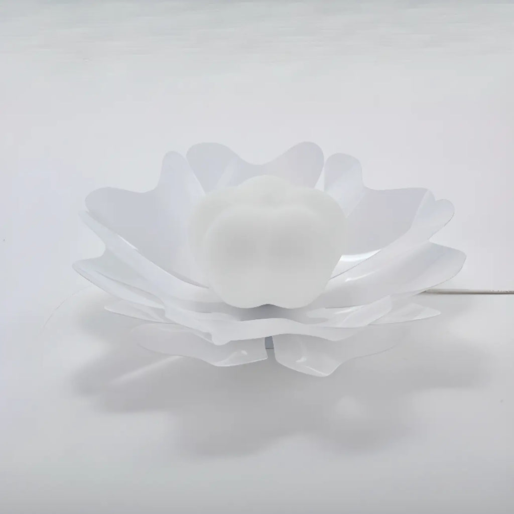 Modern Minimalist Acrylic Flush Ceiling Light for Indoor Space