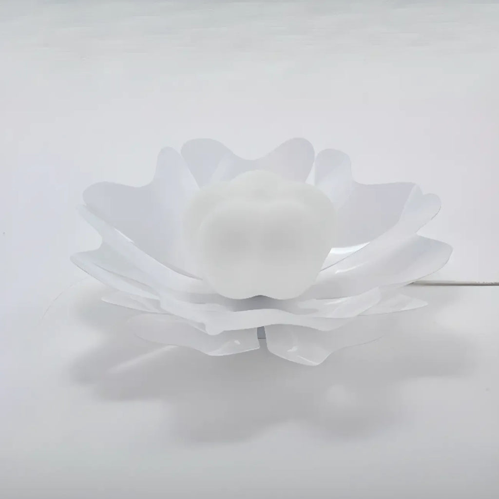 Modern Minimalist Acrylic Flush Ceiling Light for Indoor Space