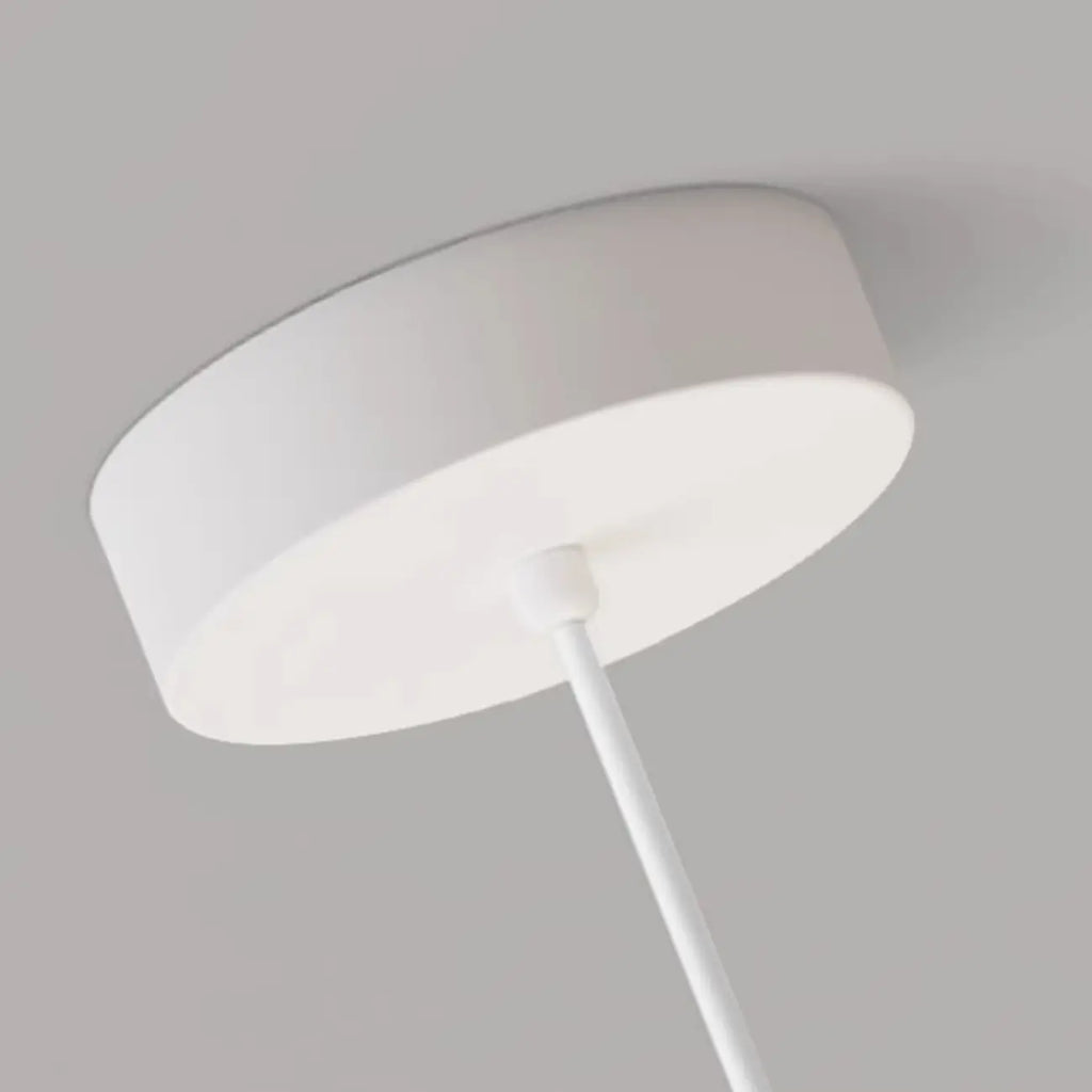 Cartoon Animal White Metal Acrylic Globe Pendant Light