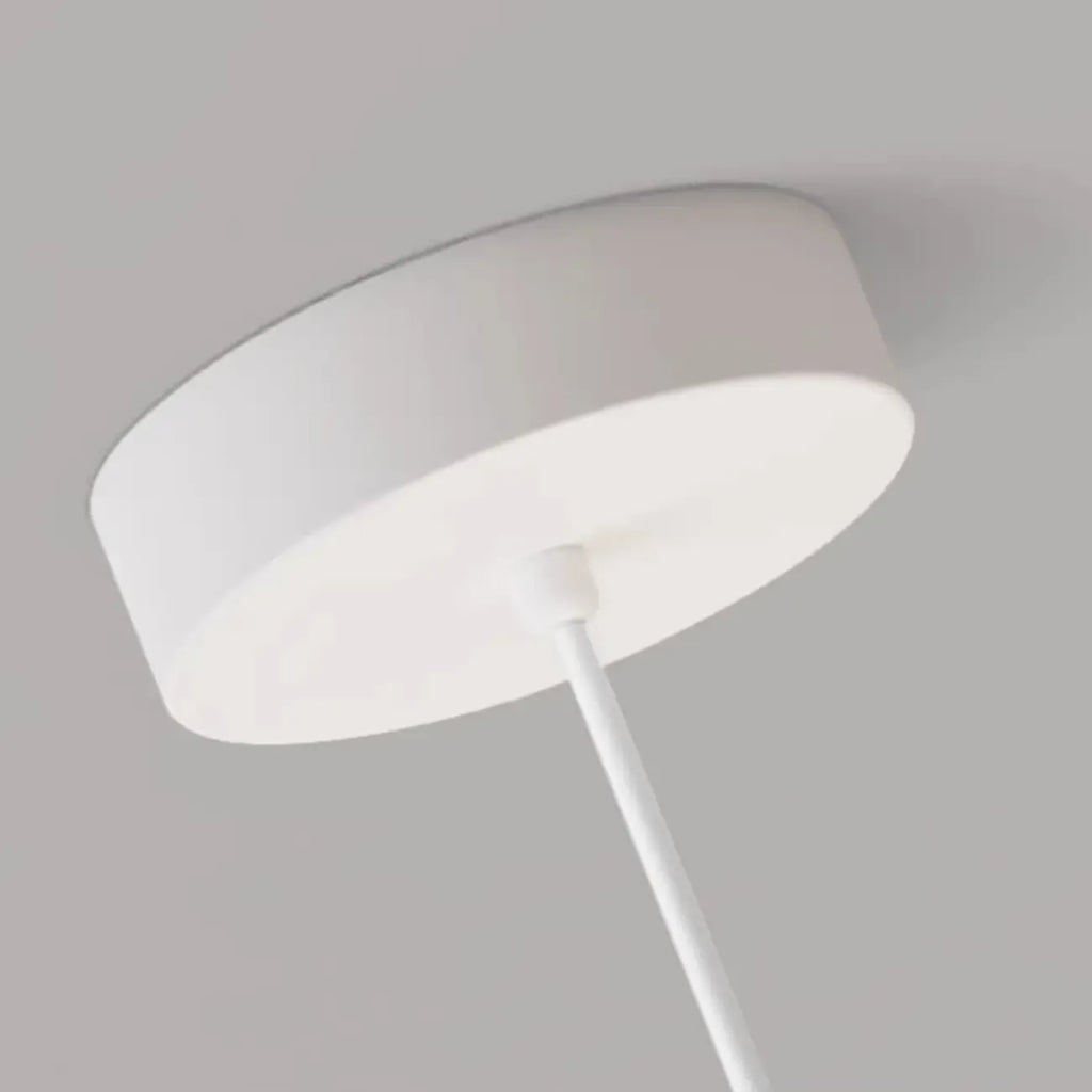 Cartoon Animal White Metal Acrylic Globe Pendant Light