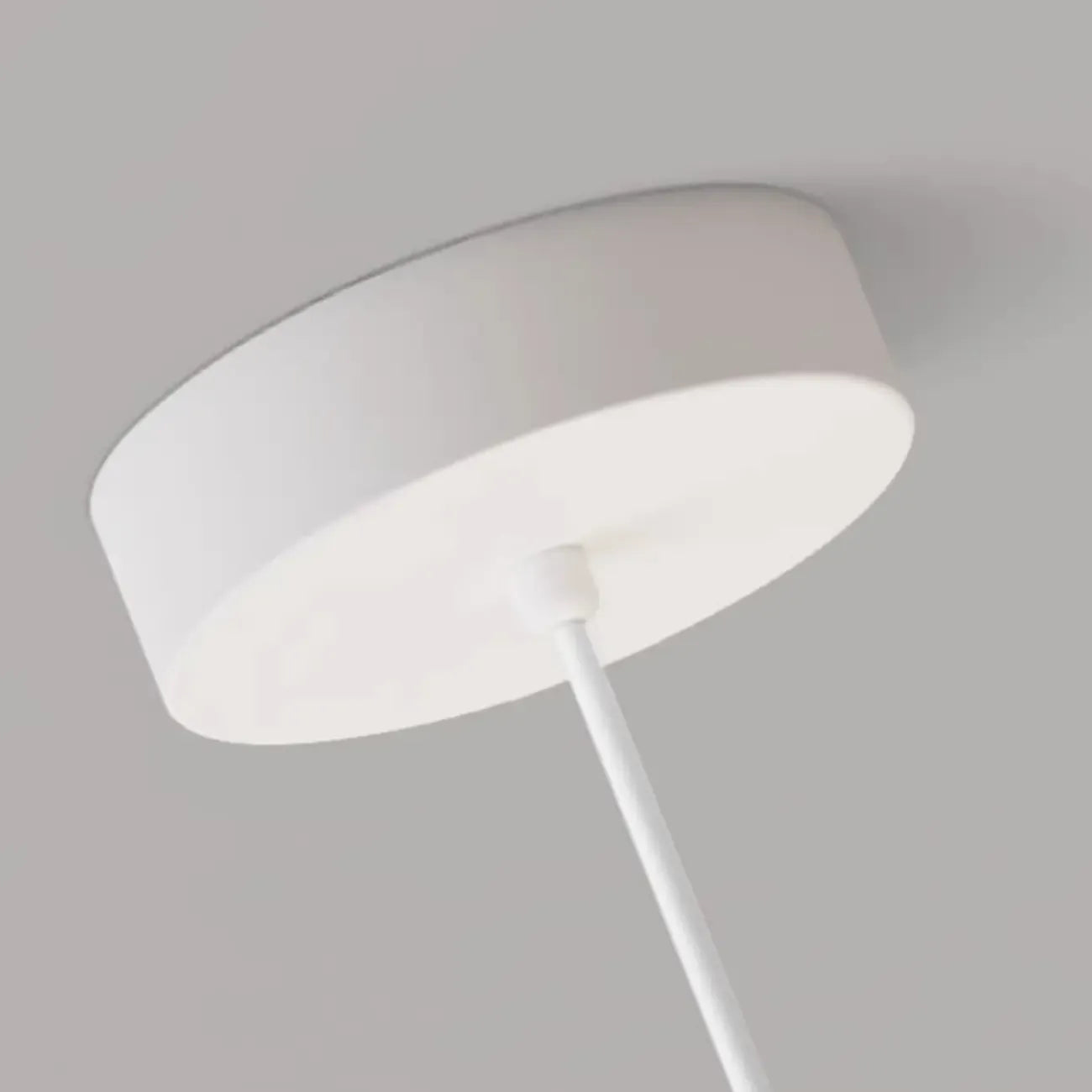 Cartoon Animal White Metal Acrylic Globe Pendant Light