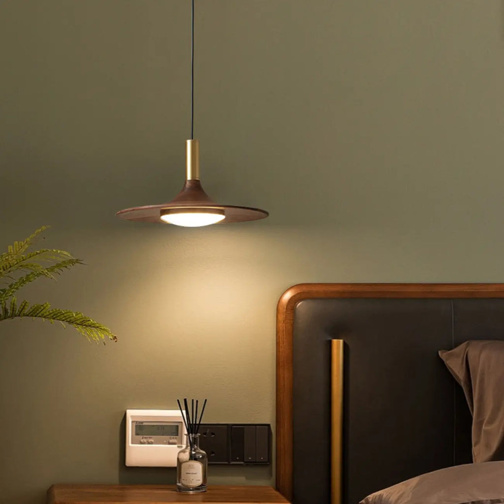 Walnut Round Acrylic Pendant Hanging Light for Living Room