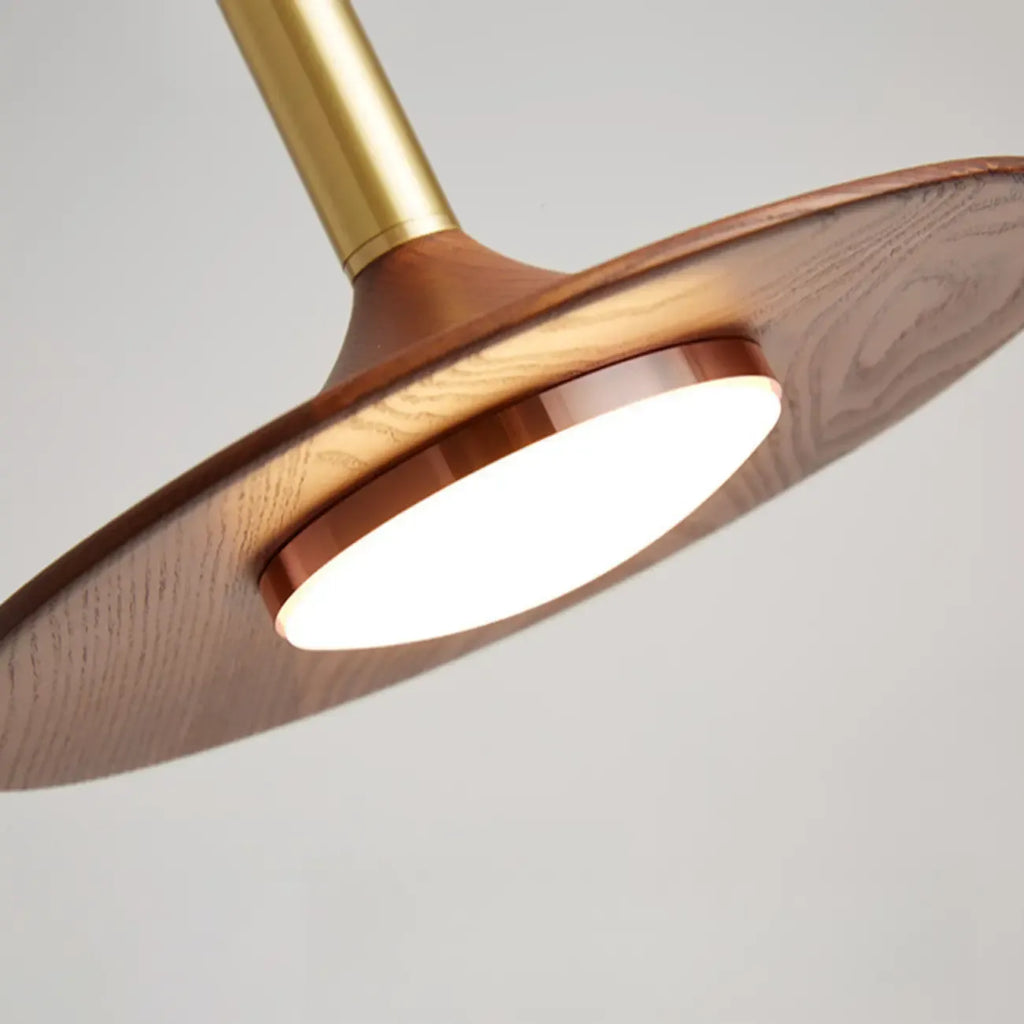 Walnut Round Acrylic Pendant Hanging Light for Living Room