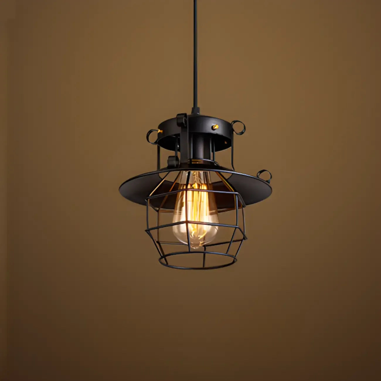 Gothic Black Iron Cage Hanging Pendant Light