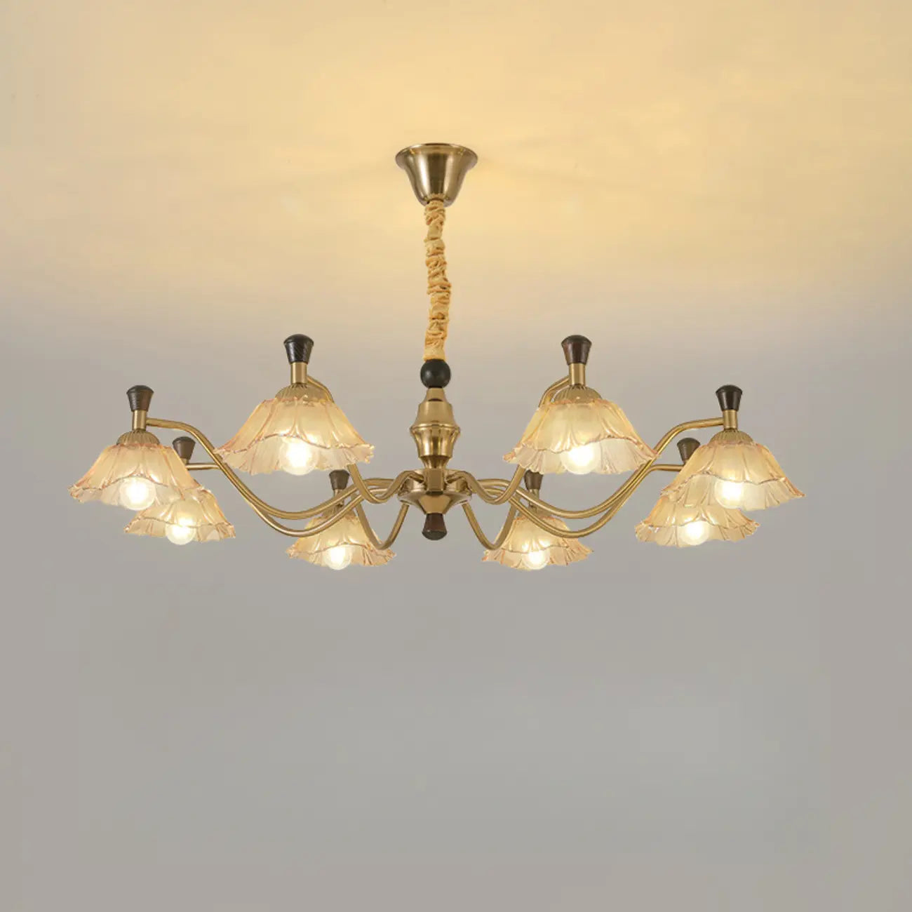 Modern Adjustable Gold Flower Glass Chandelier 6/8 Lights