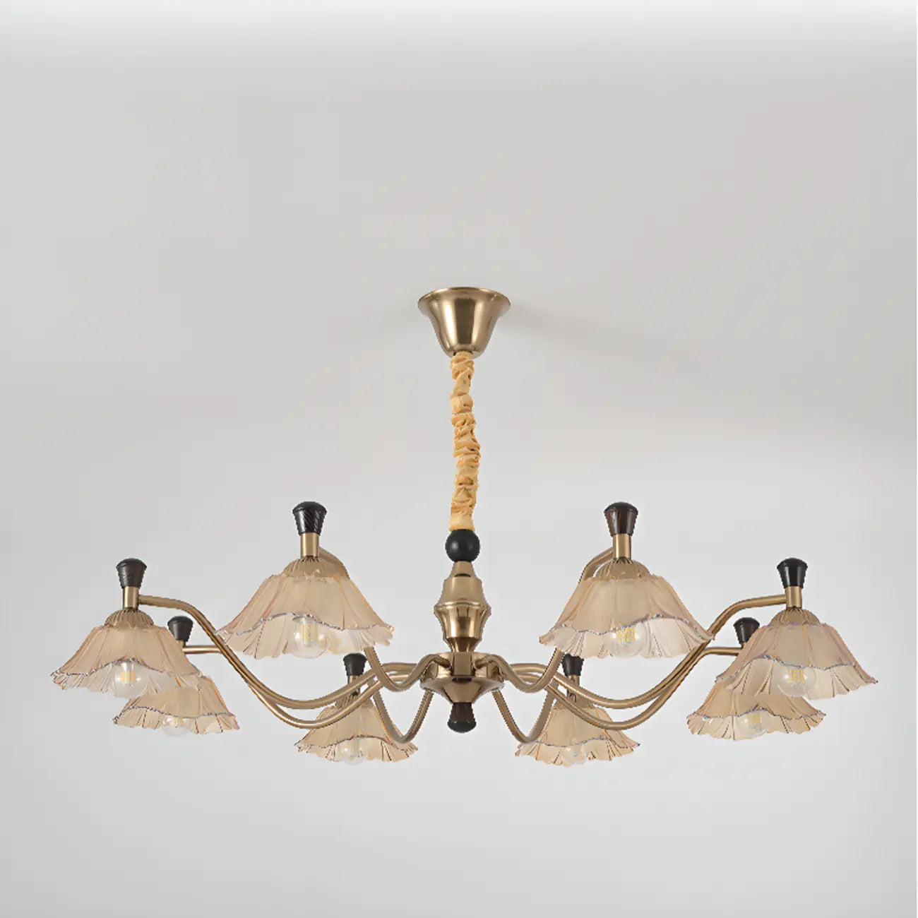 Modern Adjustable Gold Flower Glass Chandelier 6/8 Lights